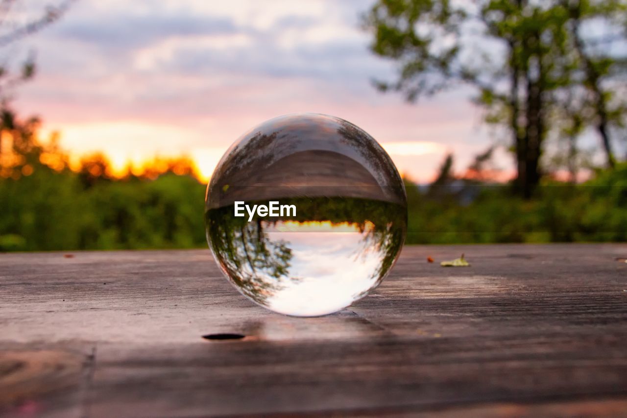 Close-up of crystal ball on glass against trees