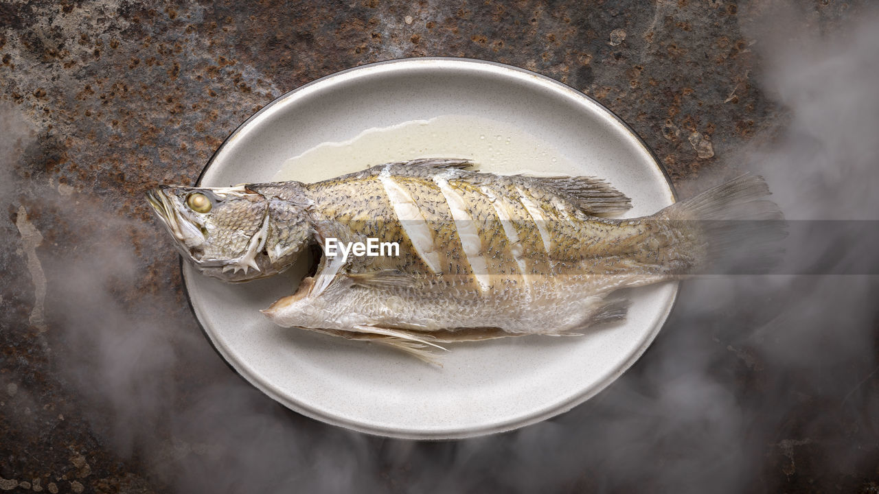 Steamed sea bass fish in oval ceramic plate with steam, seabass, giant sea perch, barramundi, barra