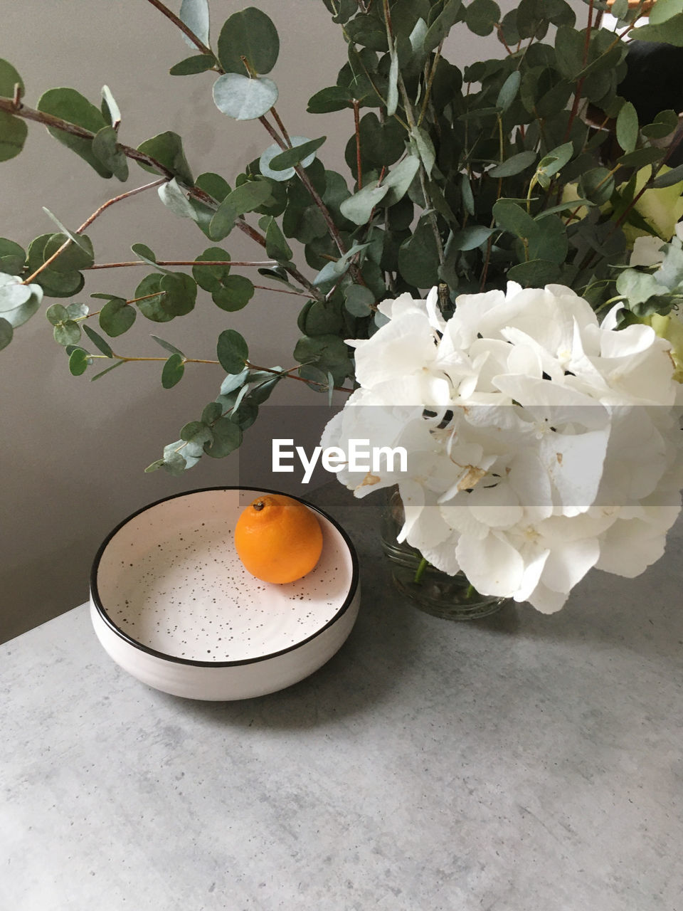 HIGH ANGLE VIEW OF WHITE FLOWERING ON TABLE