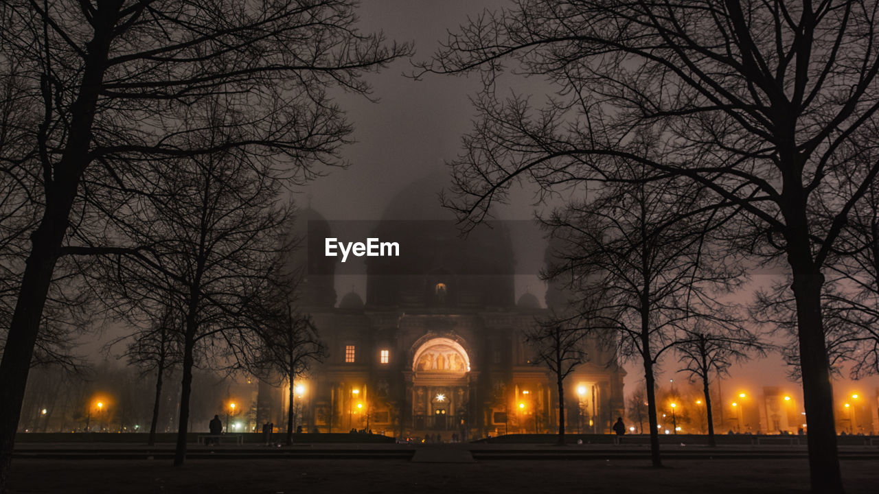 Low angle view of bare trees amidst illuminated building during foggy weather