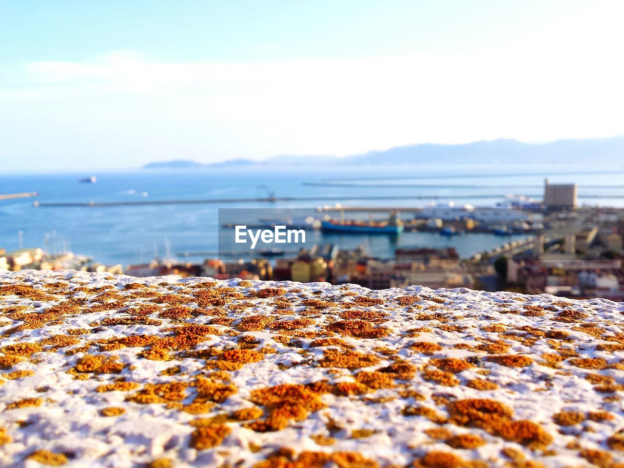 Close-up of lichen on rock against sea