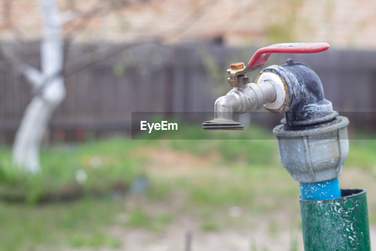 focus on foreground, nature, green, day, metal, water, outdoors, fire hydrant, plant, no people, hose