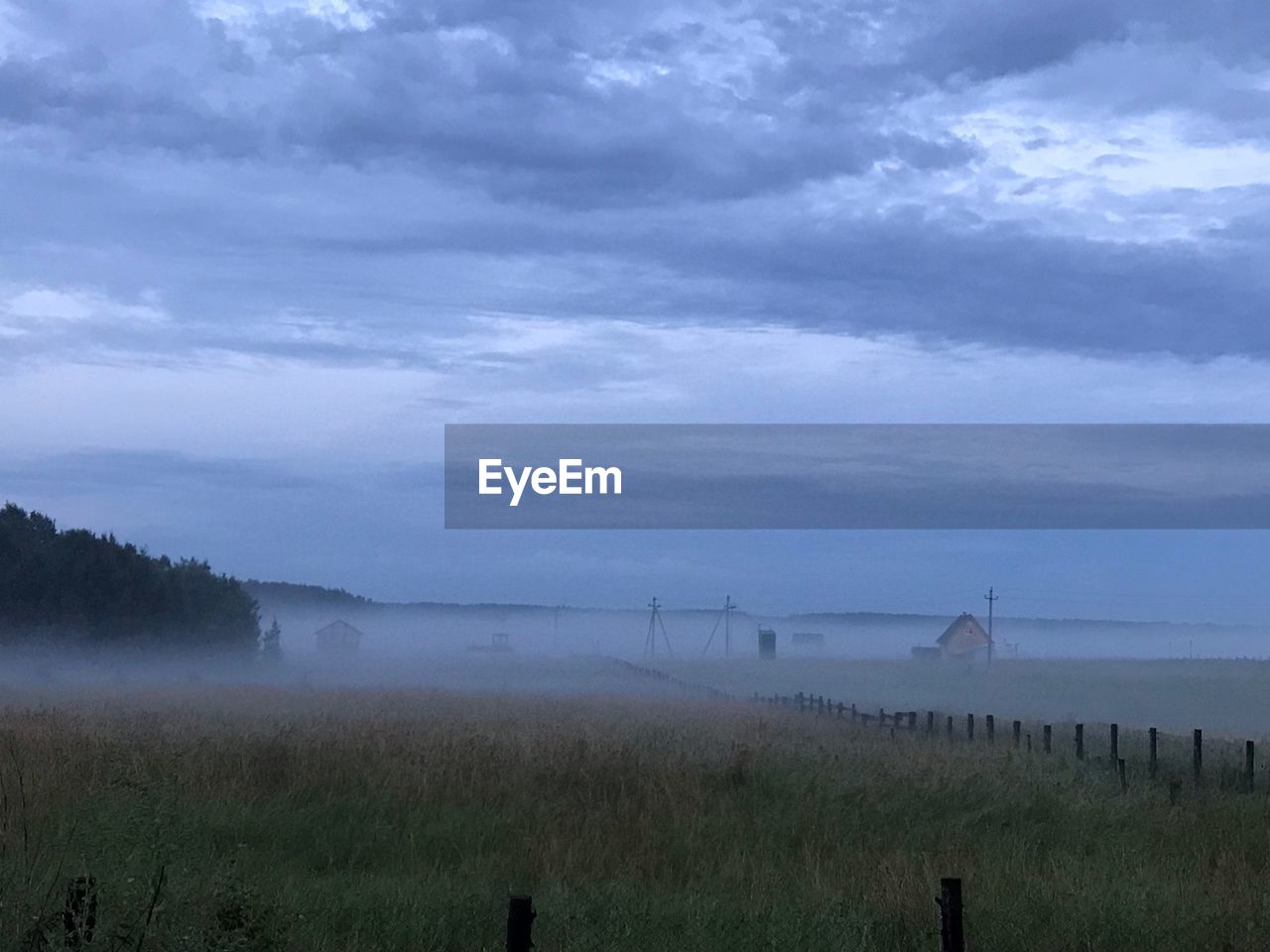 SCENIC VIEW OF FOGGY FIELD AGAINST SKY