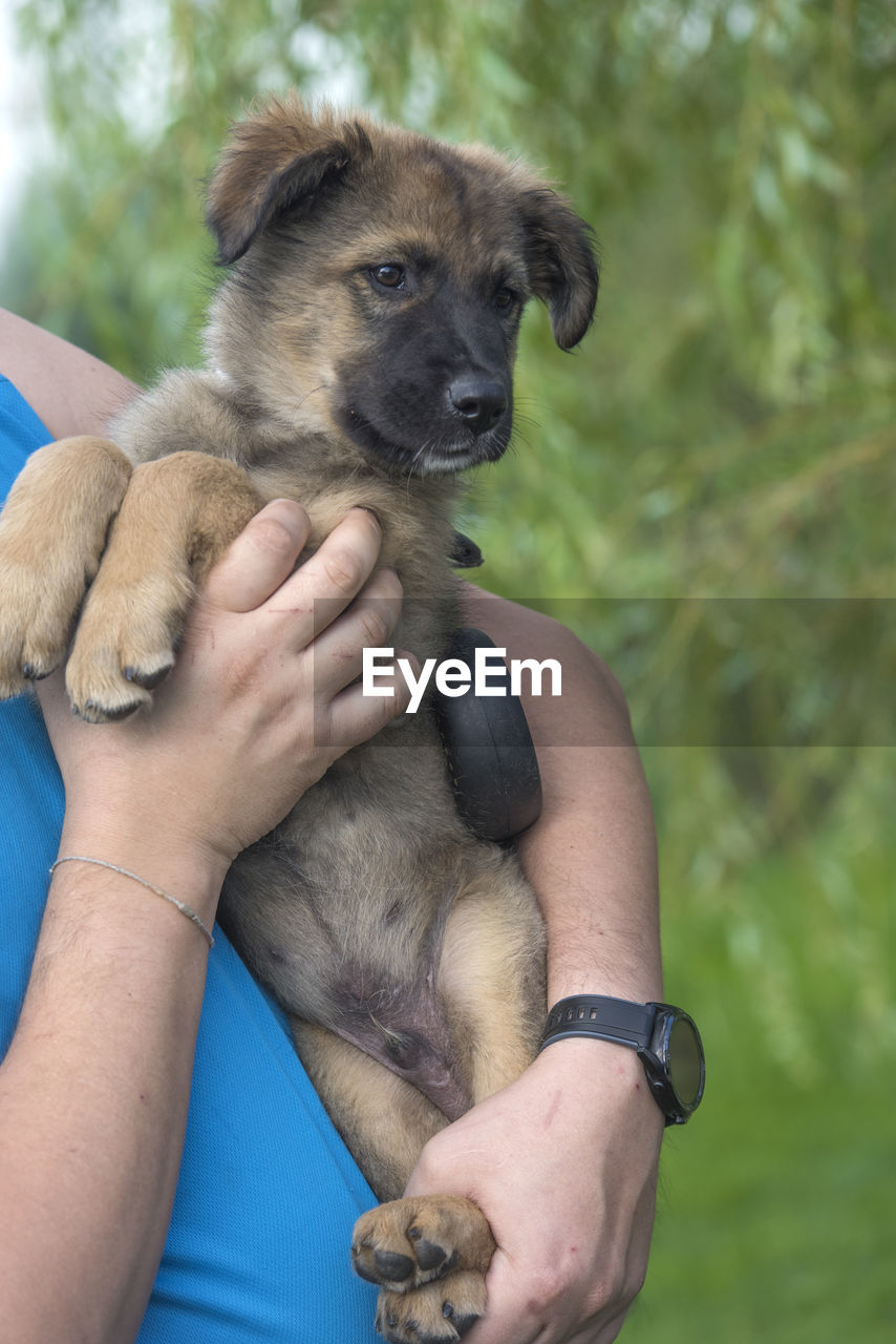 LOW SECTION OF WOMAN HOLDING PUPPY OUTDOORS