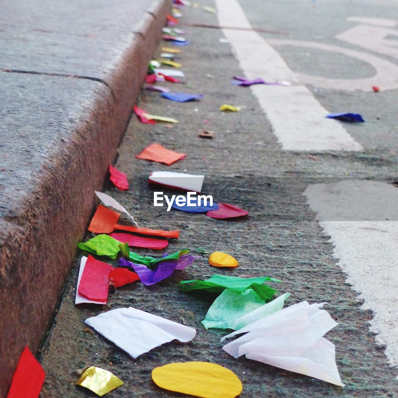 HIGH ANGLE VIEW OF VARIOUS FLOWERS ON STREET