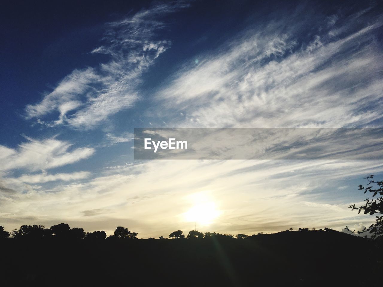 SILHOUETTE TREES ON LANDSCAPE AGAINST SKY DURING SUNSET