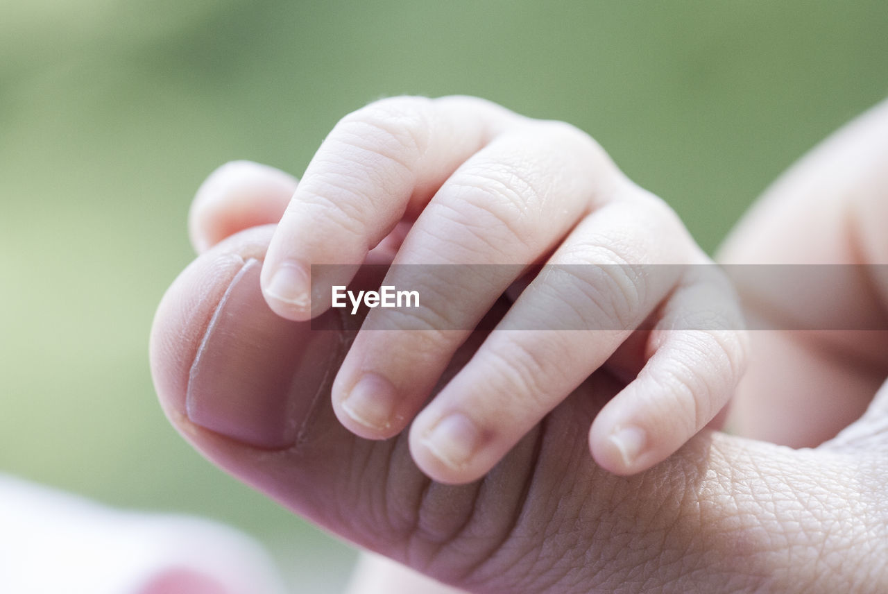 Cropped image of baby holding mother thumb