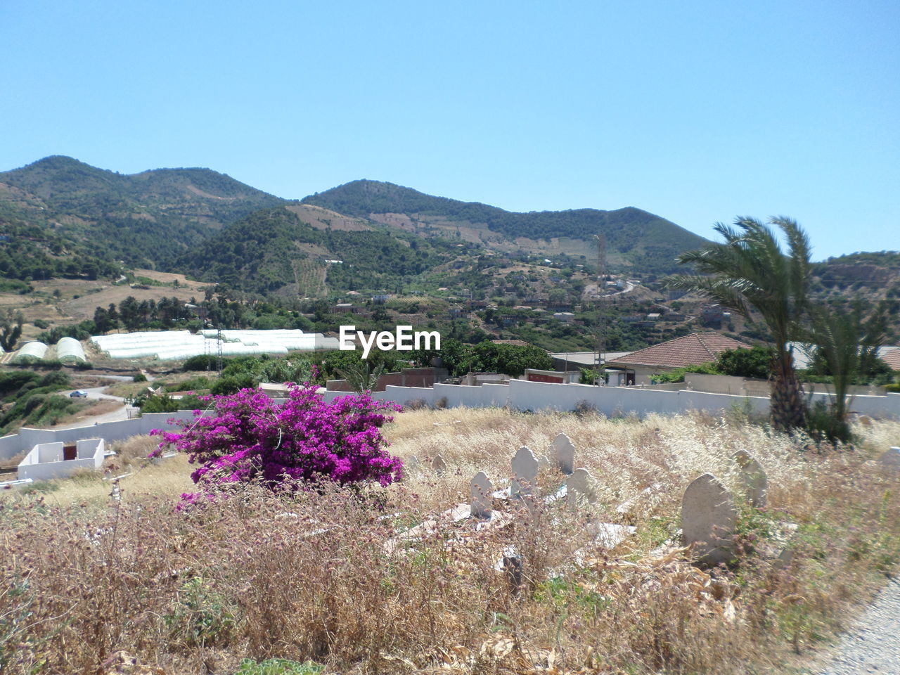 SCENIC VIEW OF MOUNTAINS AGAINST CLEAR SKY