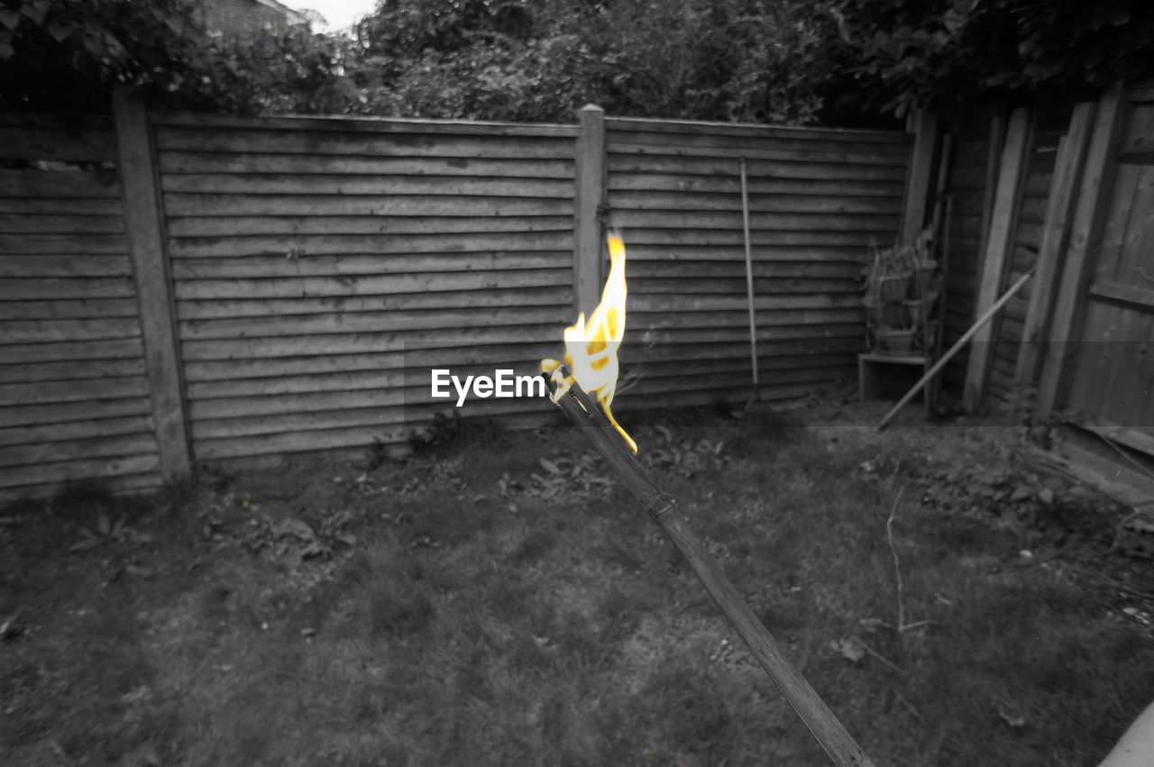 YELLOW UMBRELLA AGAINST GRASS