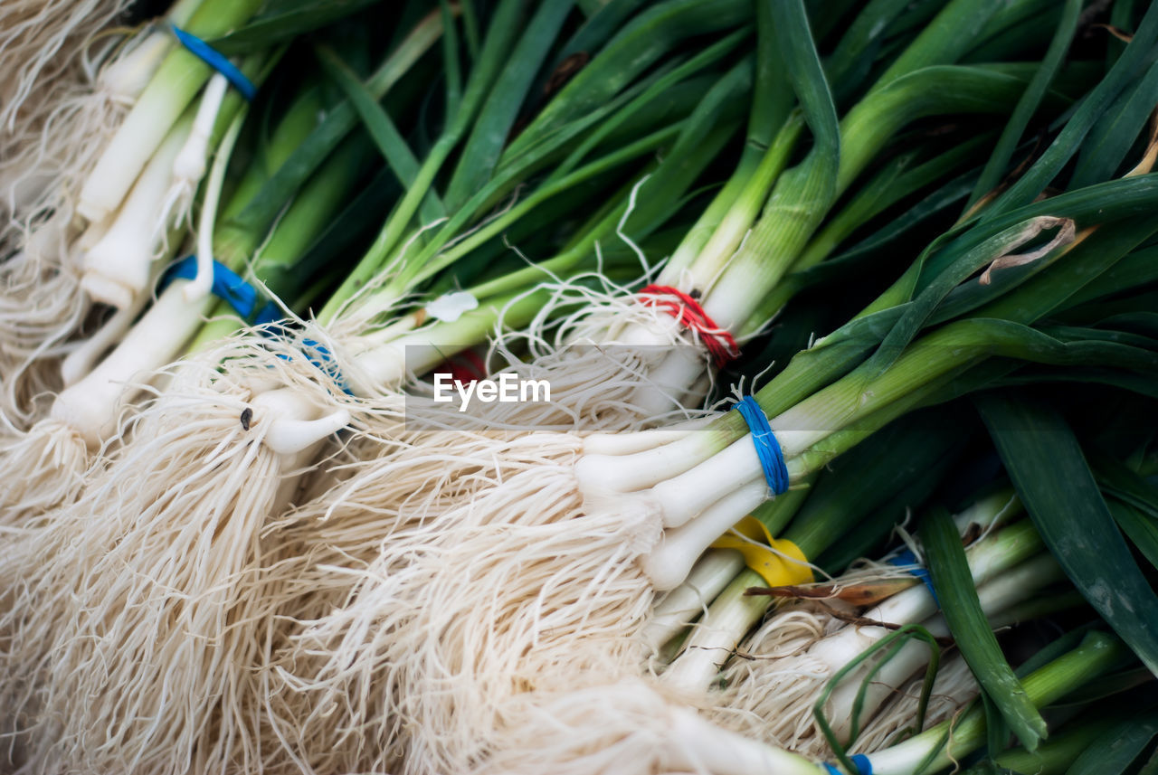 HIGH ANGLE VIEW OF VEGETABLES ON DISPLAY AT MARKET