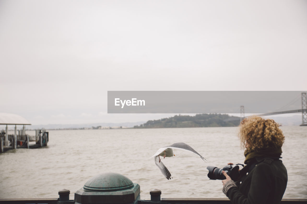 Side view of woman photographing bird while standing at pier over sea