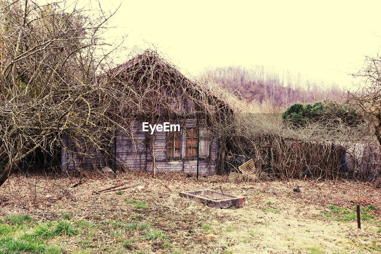 ABANDONED BUILDING IN FIELD