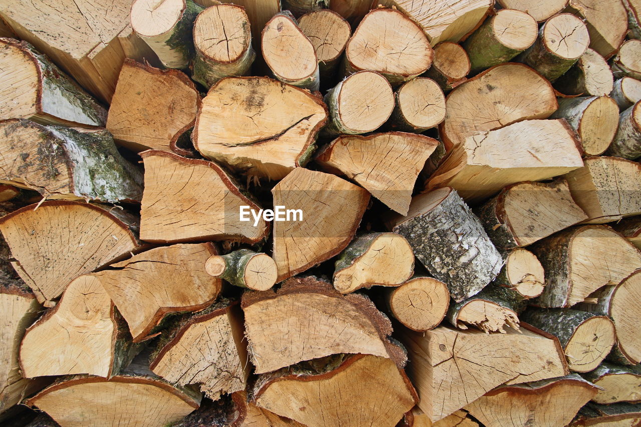 Full frame shot of logs in forest