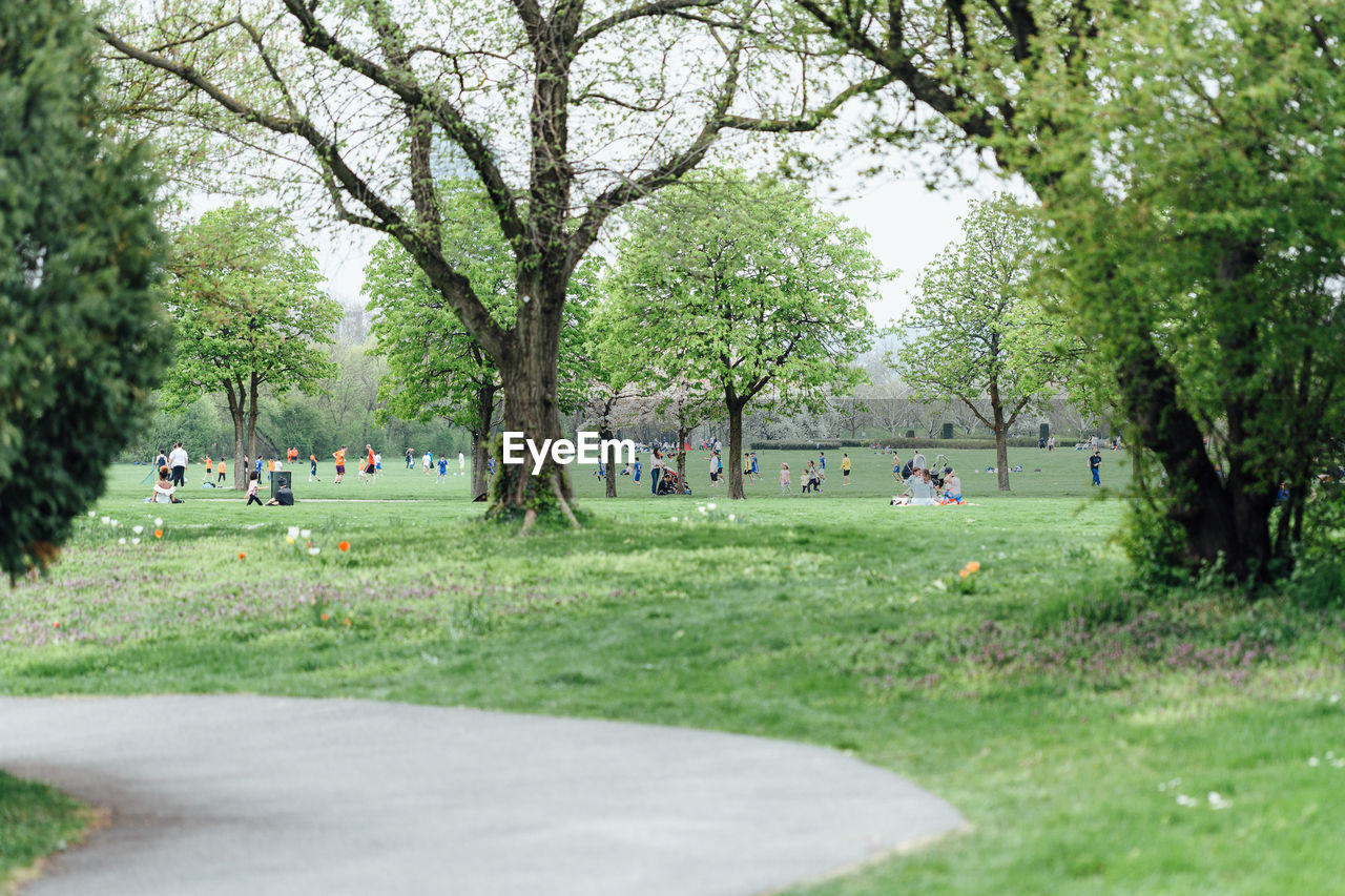 GROUP OF PEOPLE IN PARK BY TREES