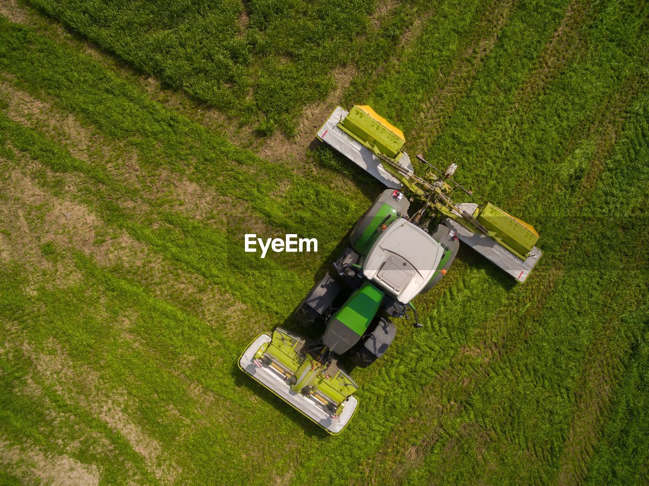 HIGH ANGLE VIEW OF RICE FIELD