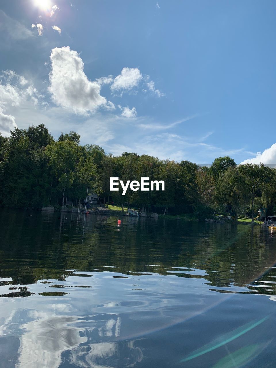 TREES BY LAKE AGAINST SKY