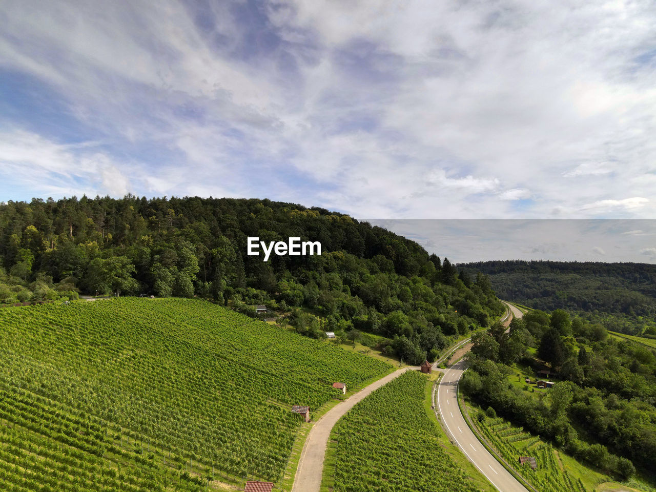 SCENIC VIEW OF ROAD AMIDST TREES AGAINST SKY