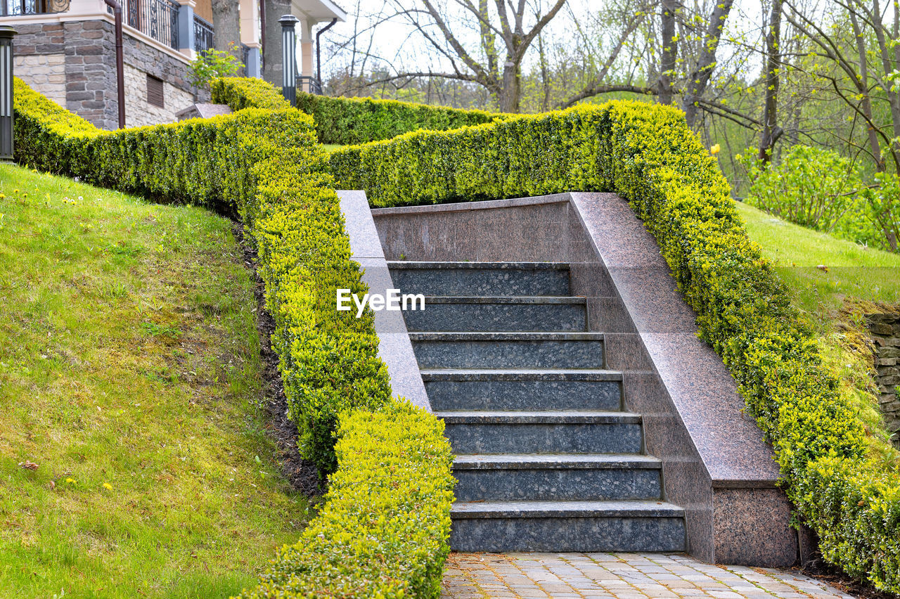 plant, architecture, garden, built structure, staircase, lawn, green, nature, building exterior, grass, tree, day, no people, steps and staircases, walkway, growth, shrub, wall, building, outdoors, yard, hedge, footpath, house, flower, backyard, residential district, the way forward, stairs, beauty in nature, formal garden, bush