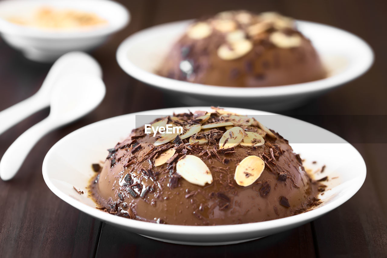 CLOSE-UP OF ICE CREAM SERVED IN PLATE