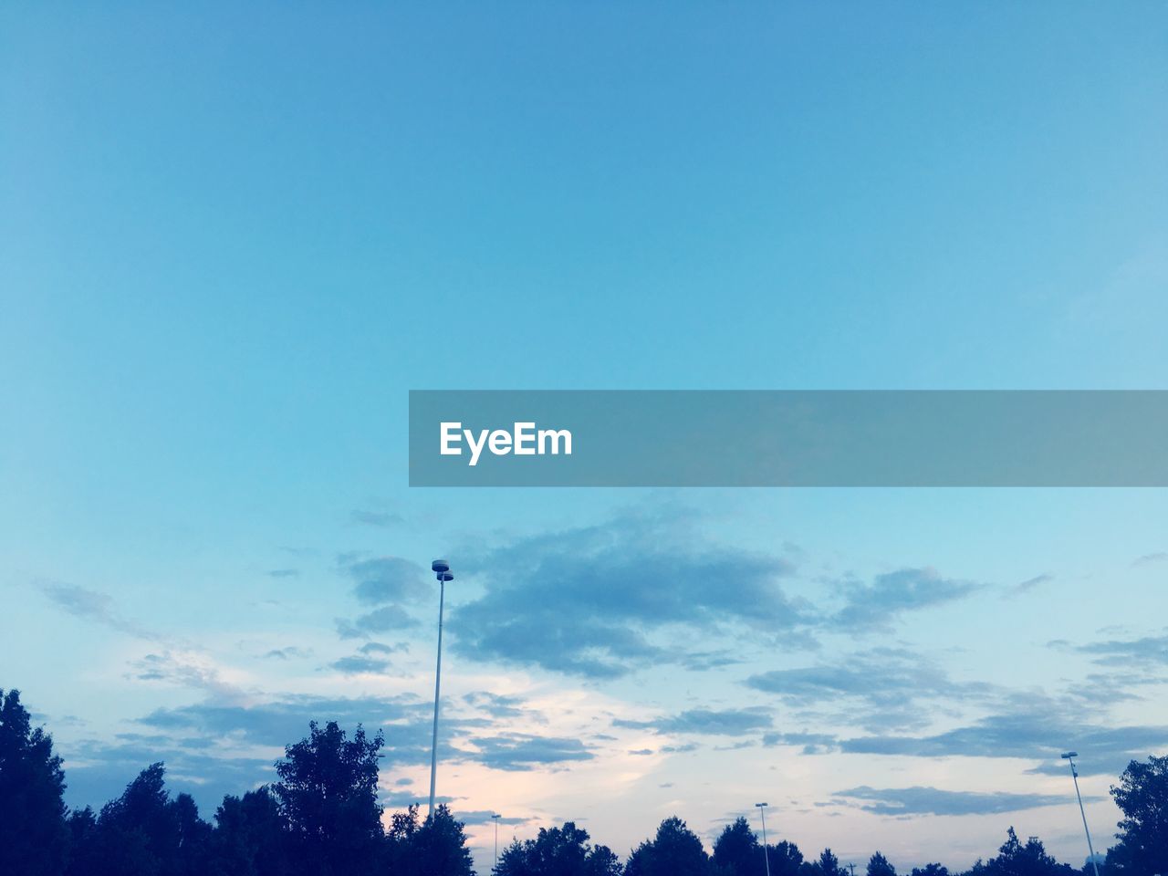 Low angle view of silhouette trees against sky