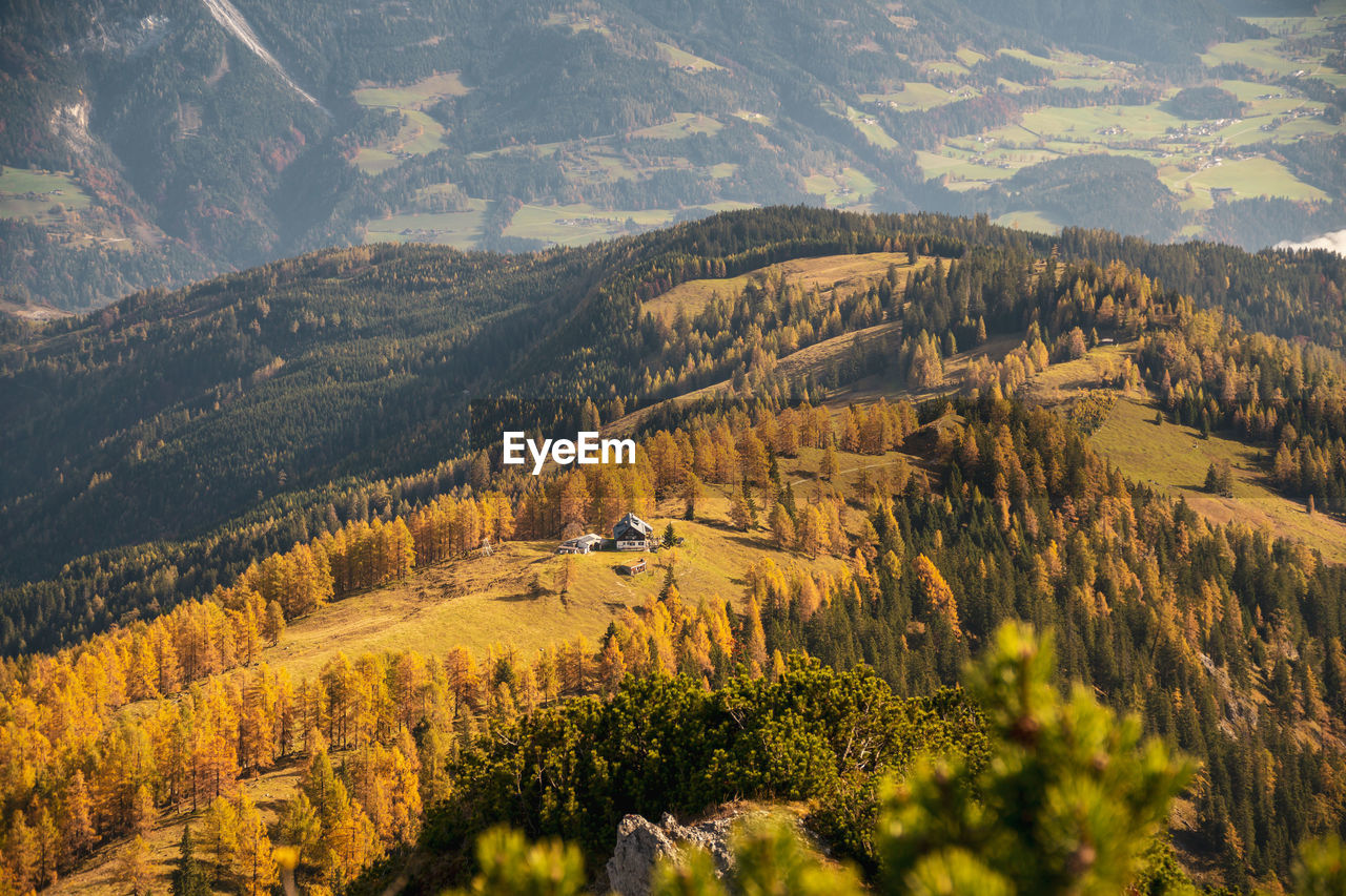 Panoramic view at mountain hut surrounded by fall colored larch trees, werfen in salzburg, austria.