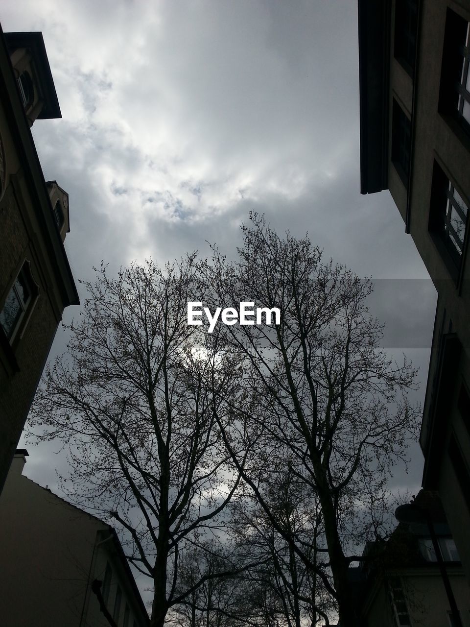 Low angle view of cropped silhouette buildings and trees against sky