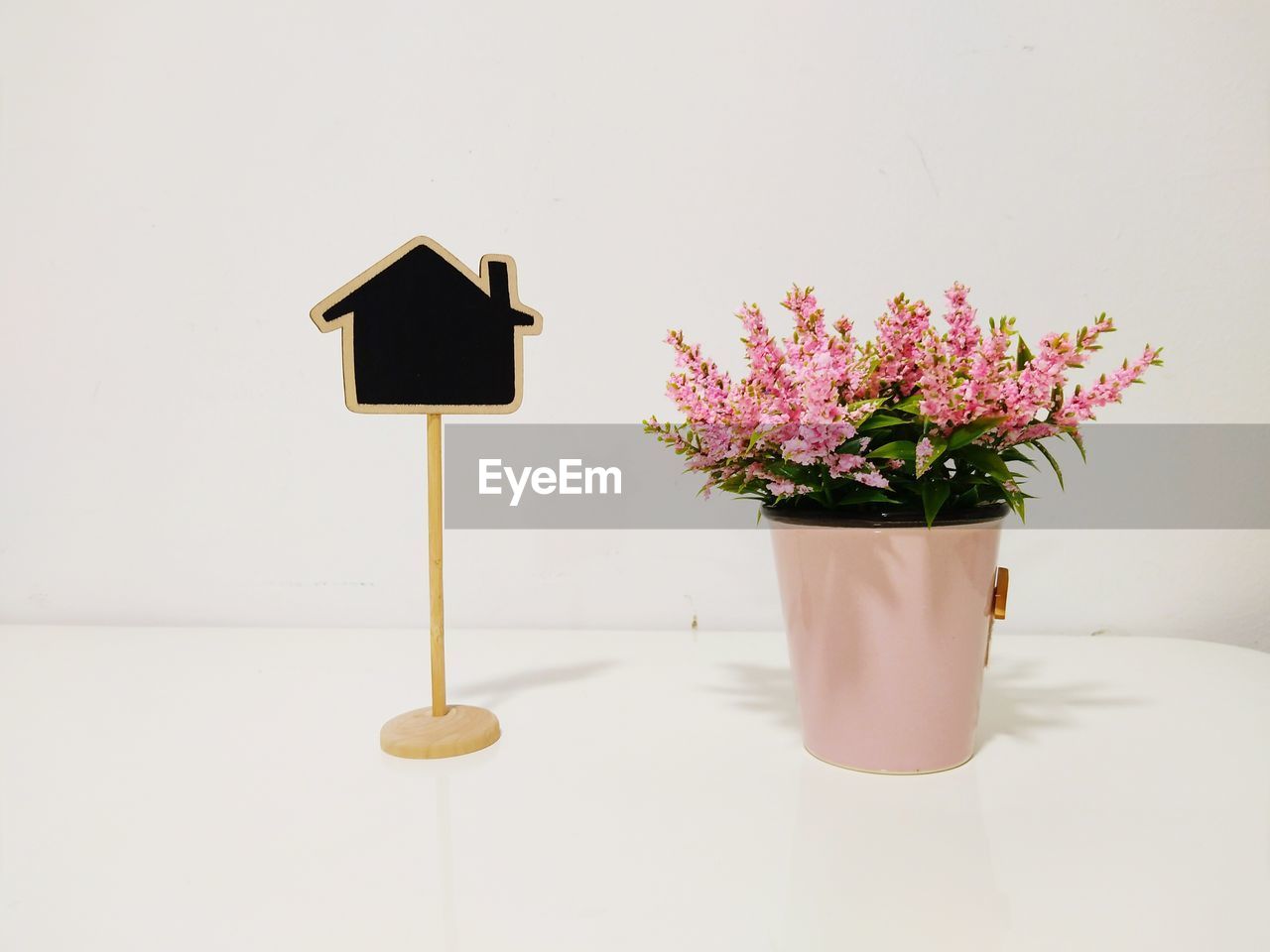 Close-up of flower pot by blackboard on table against wall