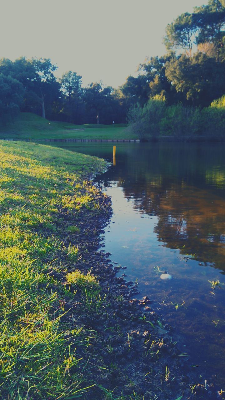 Scenic view of park against sky