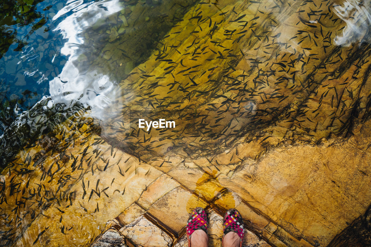 HIGH ANGLE VIEW OF PEOPLE SWIMMING IN SEA WITH ROCKS