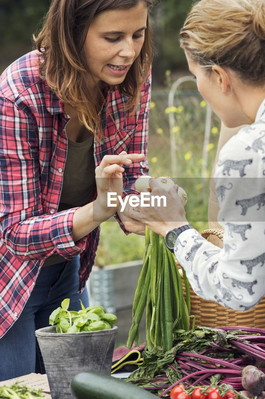 Mid adult woman selling scallions to female customer at vegetable garden