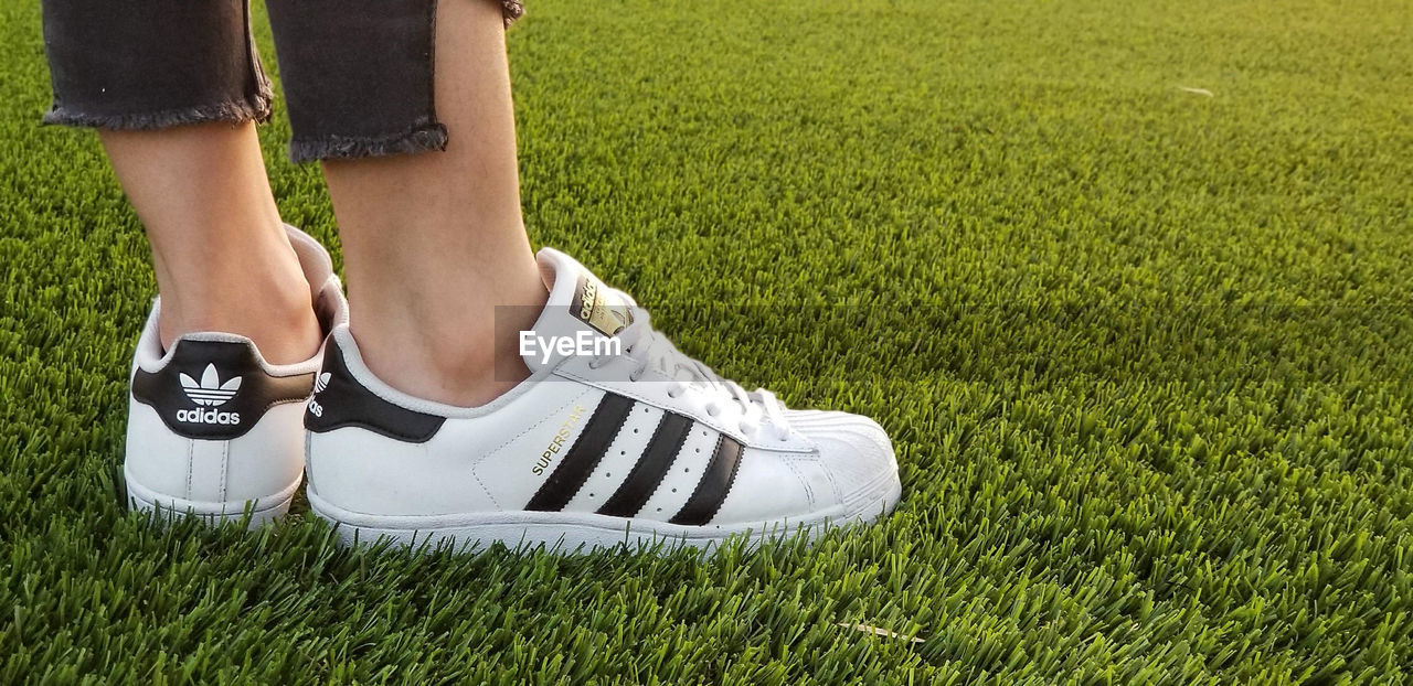 LOW SECTION OF WOMAN STANDING ON FIELD