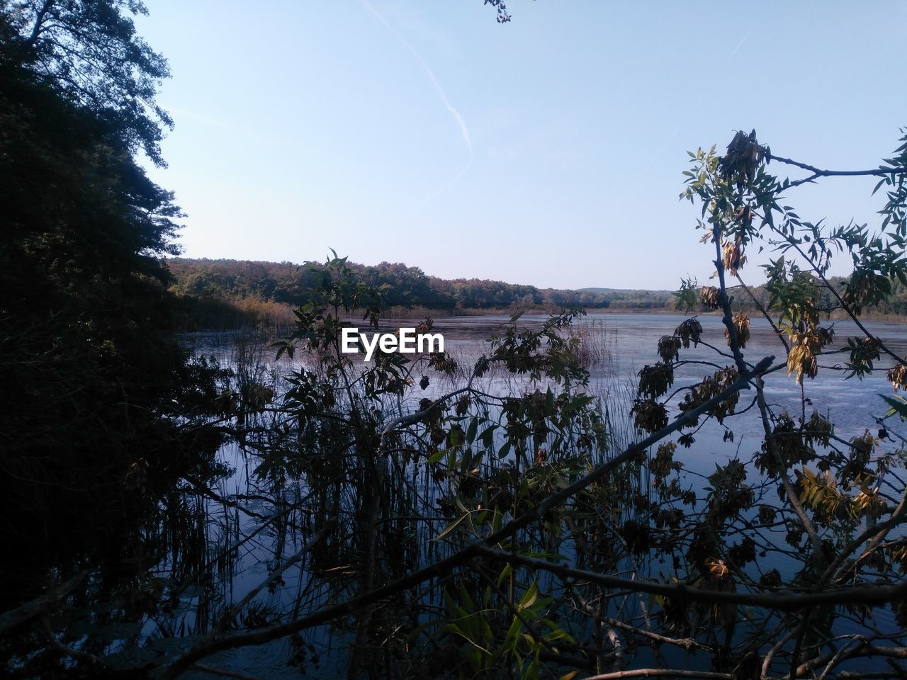 SCENIC VIEW OF CALM LAKE