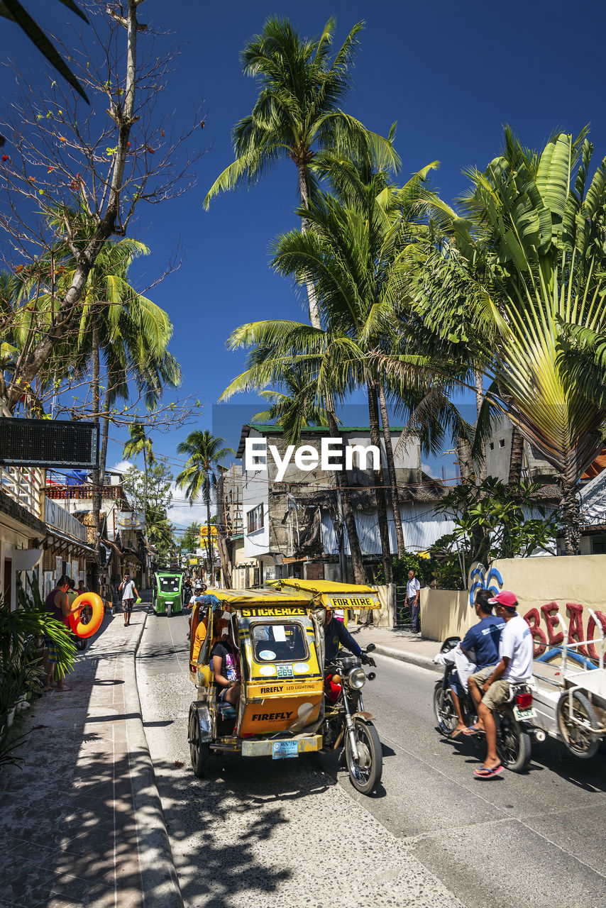 VEHICLES ON ROAD AGAINST TREES AND SKY