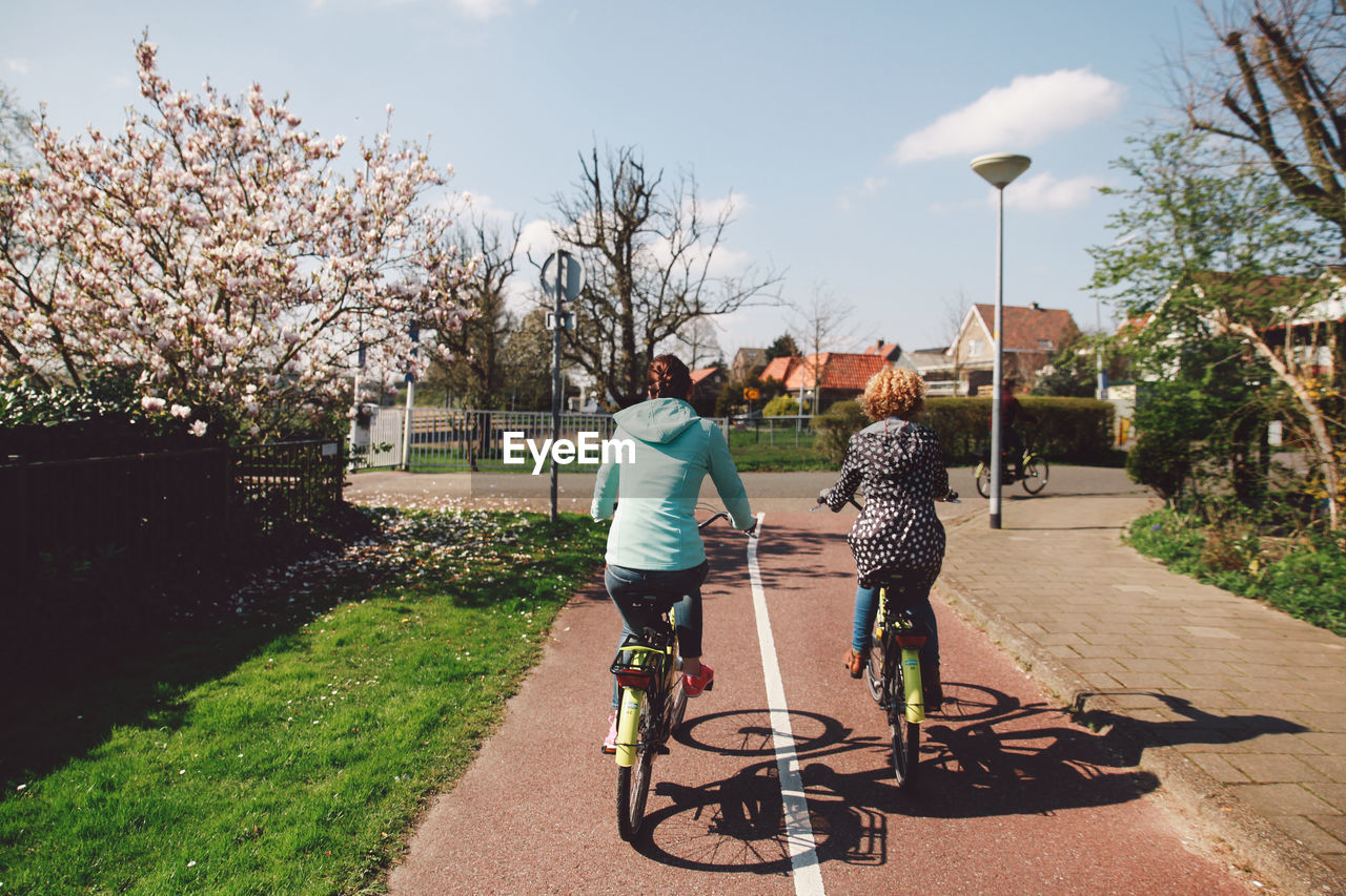 Rear view of women riding bicycle on road during sunny day