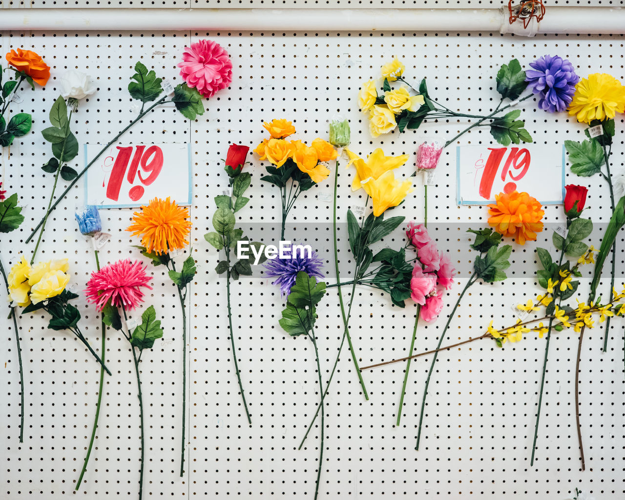 View of multi colored flowers on white color wall