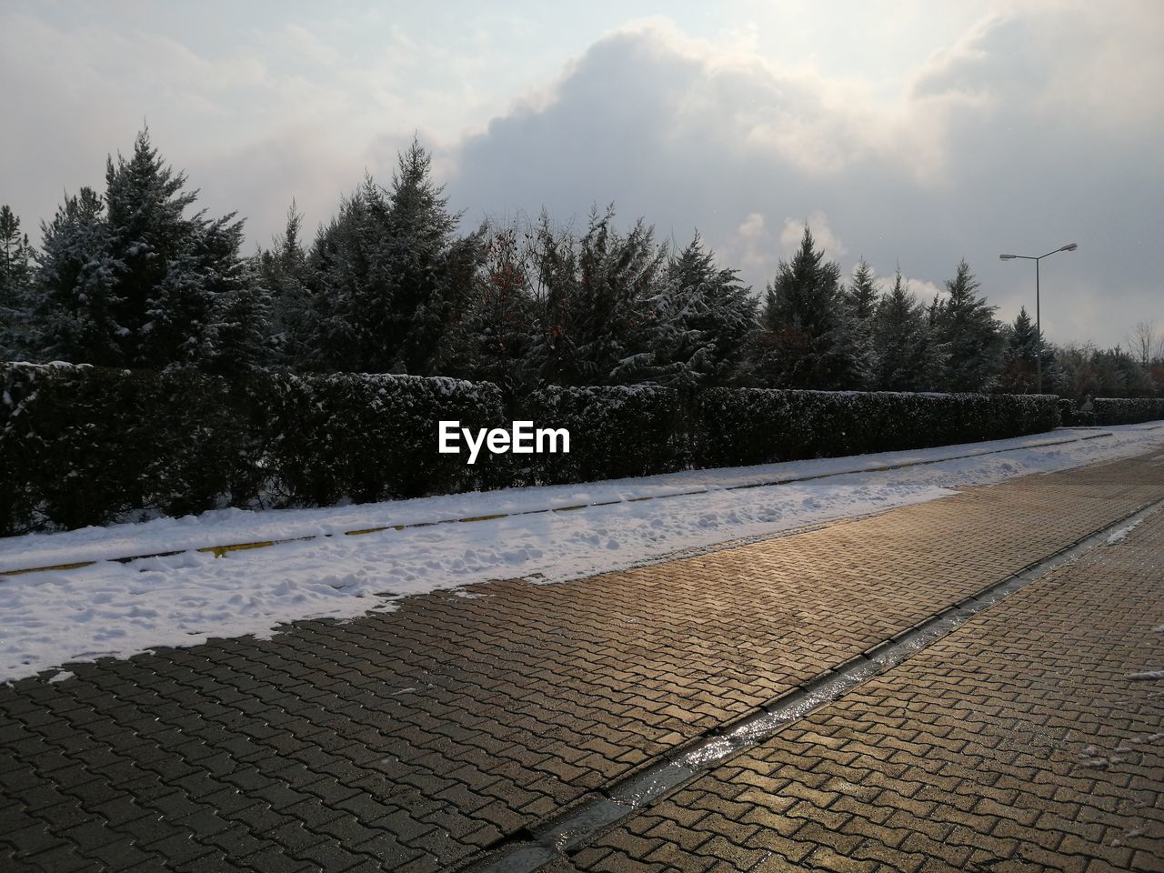 FOOTPATH BY TREES ON SNOW COVERED LAND