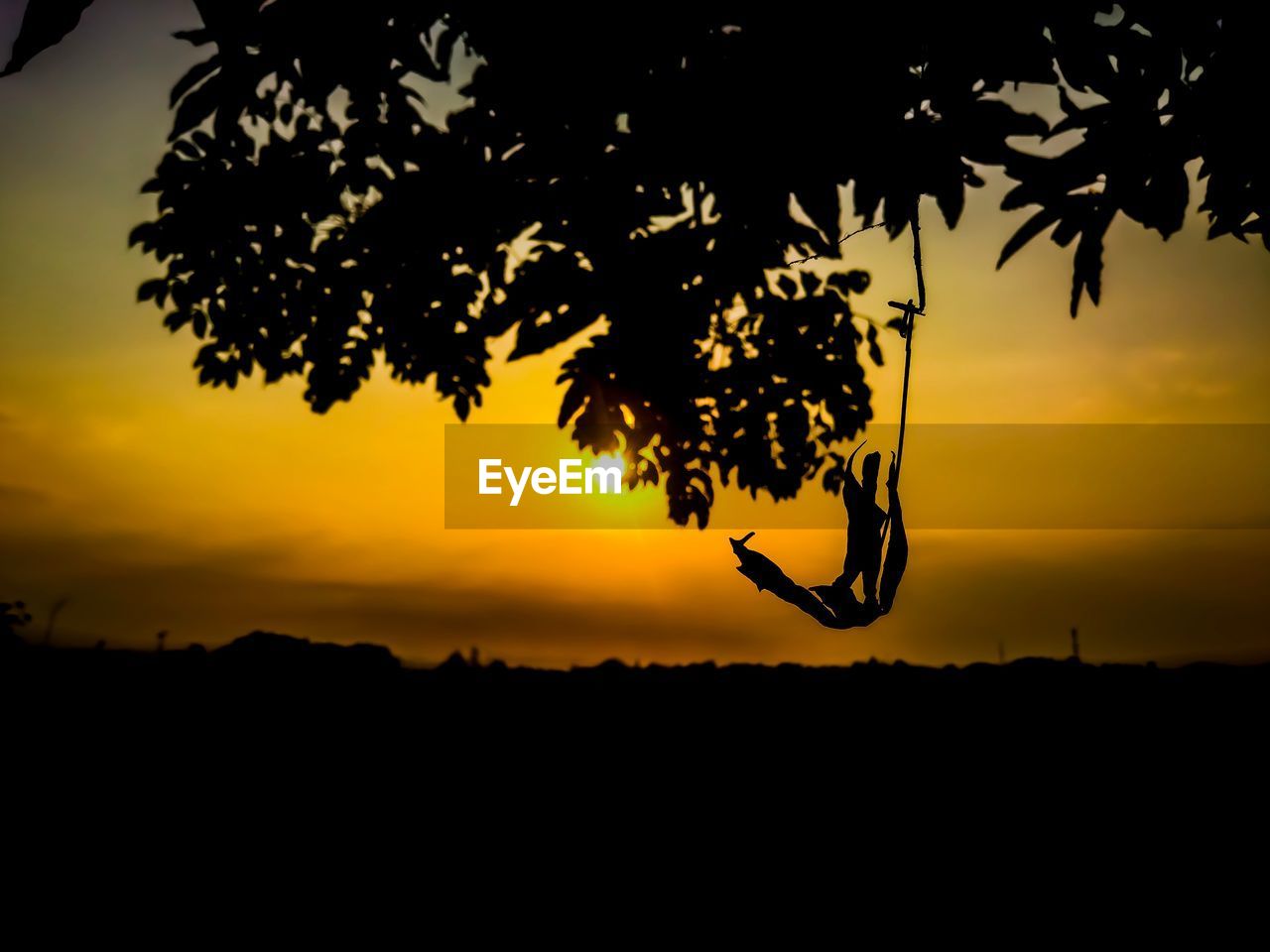 Close-up of silhouette tree against orange sky