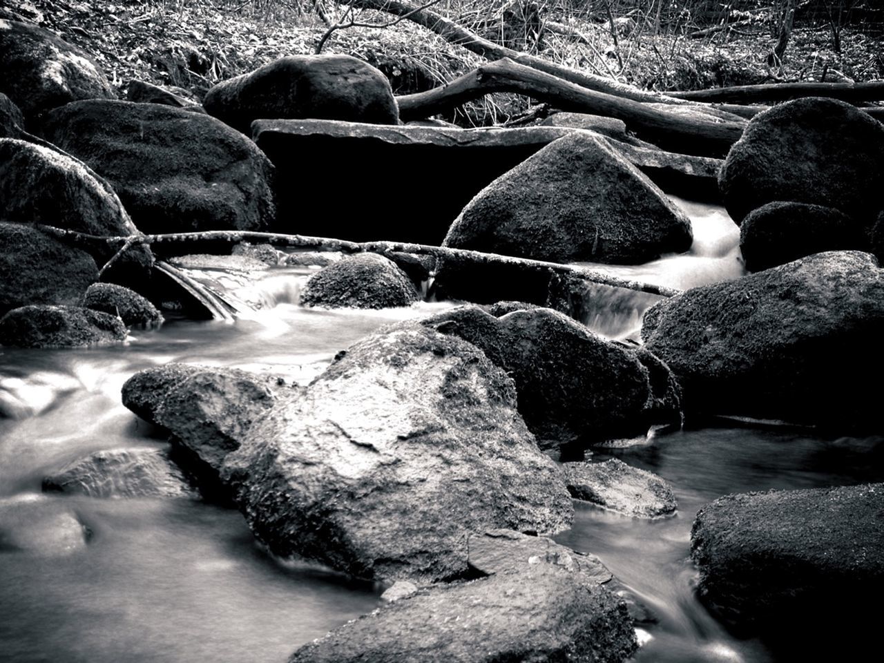 Rocks in forest stream