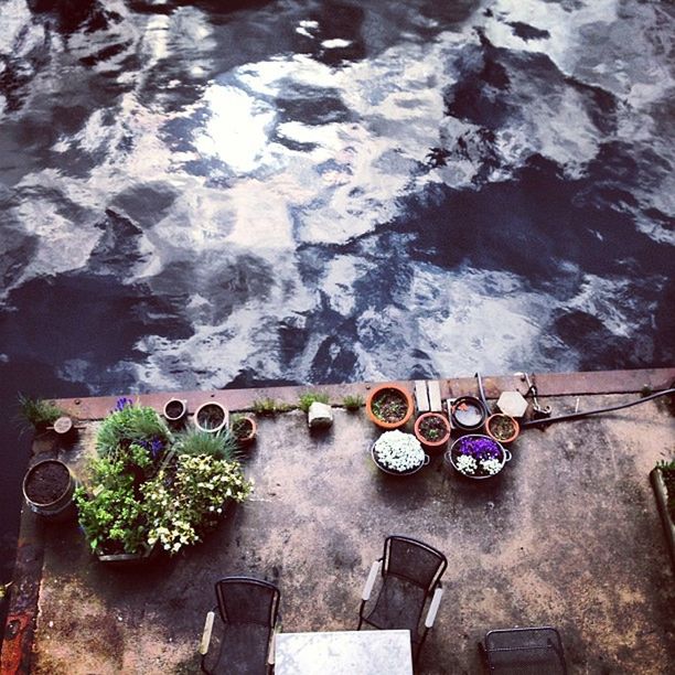 high angle view, no people, table, water, day, indoors, nature, freshness, food