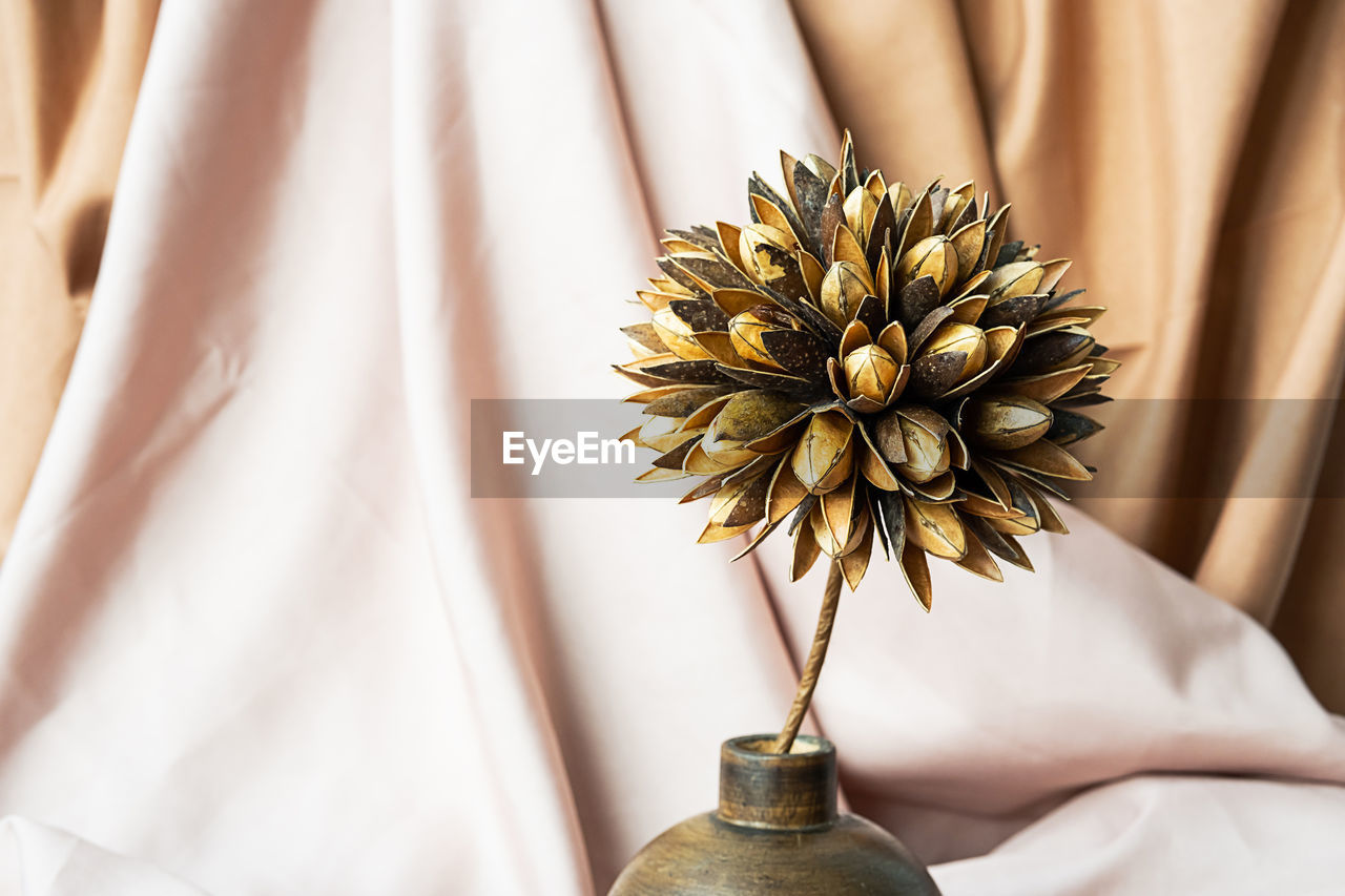 Dried flower in wooden vase against draper. delicate modern still life.