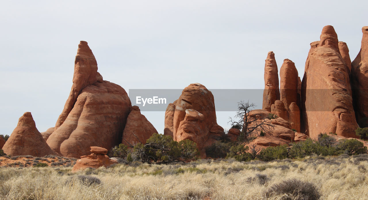 VIEW OF STATUES