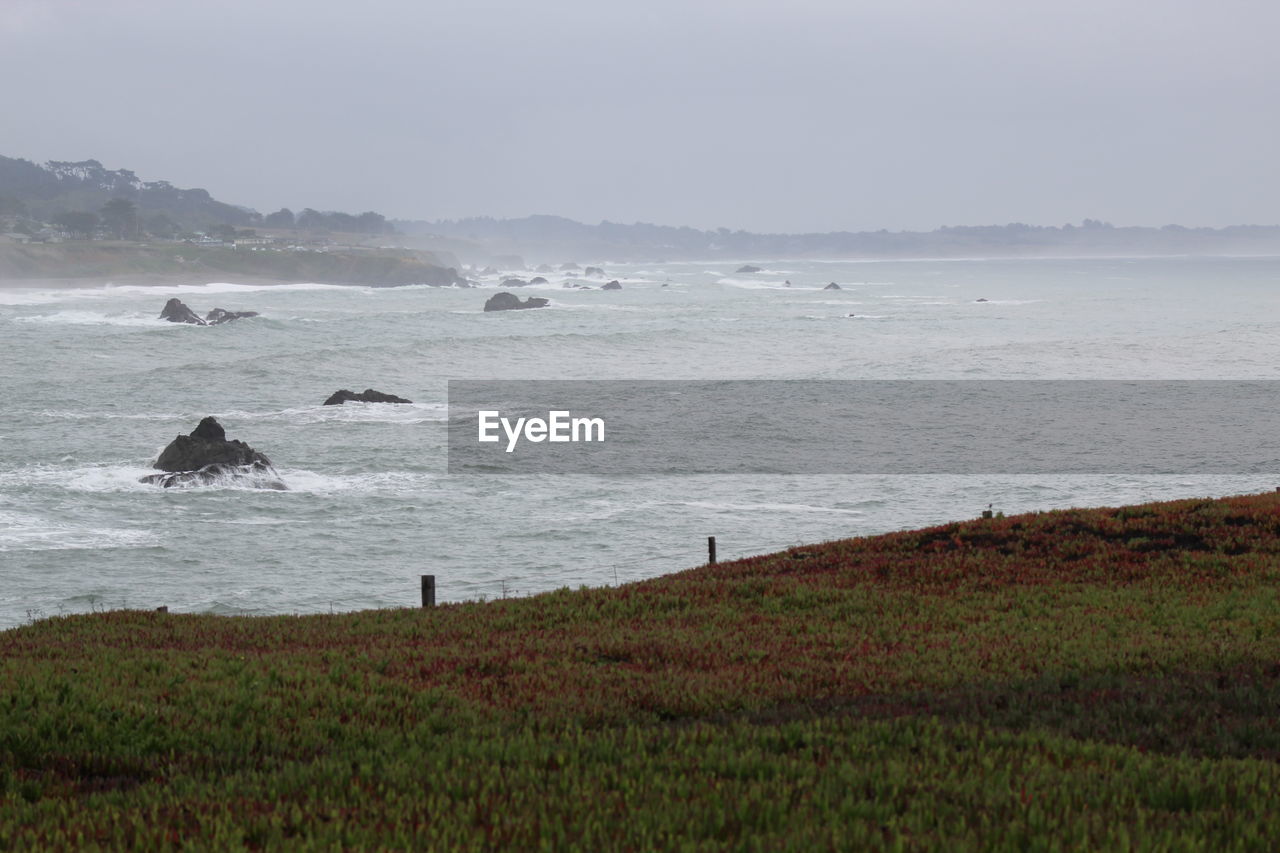 SCENIC VIEW OF SEA AND BEACH