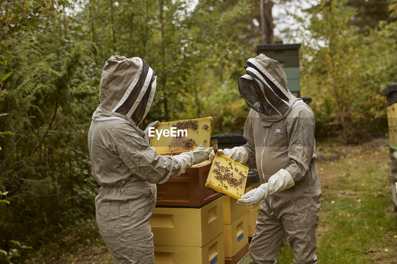 Bee-keepers during work
