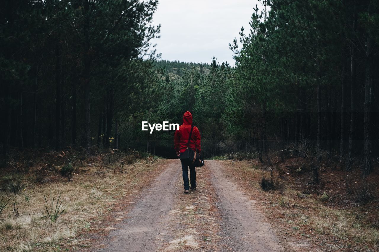 Rear view of person in hooded shirt walking in belanglo state forest