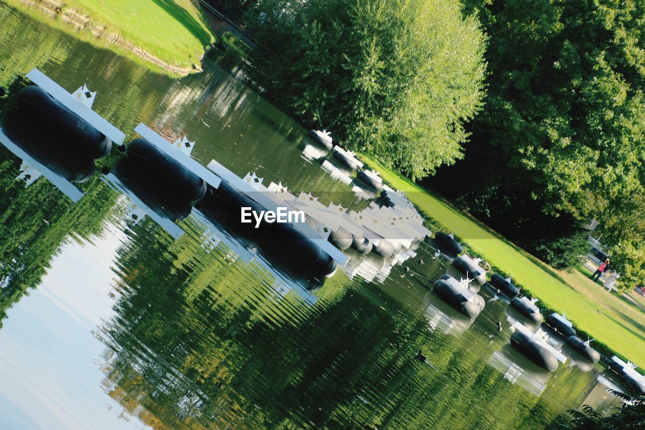 HIGH ANGLE VIEW OF CAR BY PLANTS