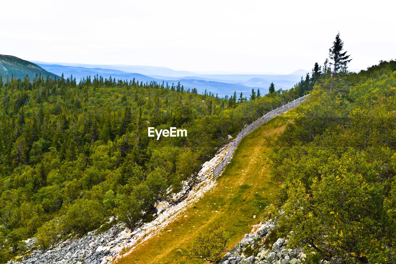 SCENIC VIEW OF MOUNTAIN AGAINST SKY