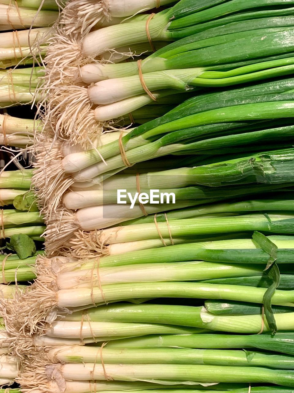 High angle view of scallions for sale in market