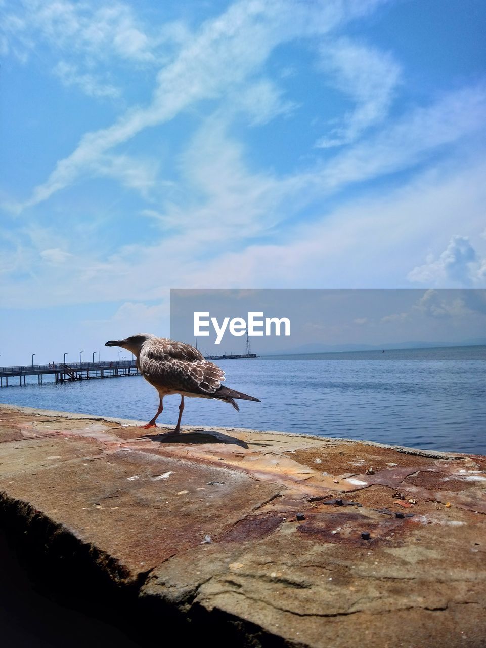 SCENIC VIEW OF SEA AGAINST BLUE SKY