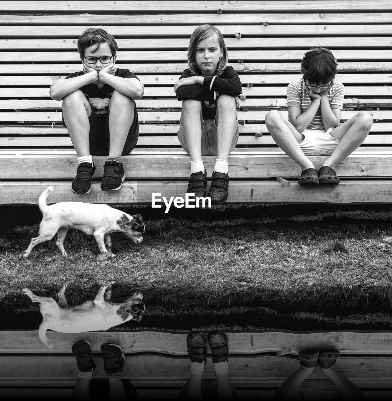 Three boys sitting near water and thinking,, the dog running around