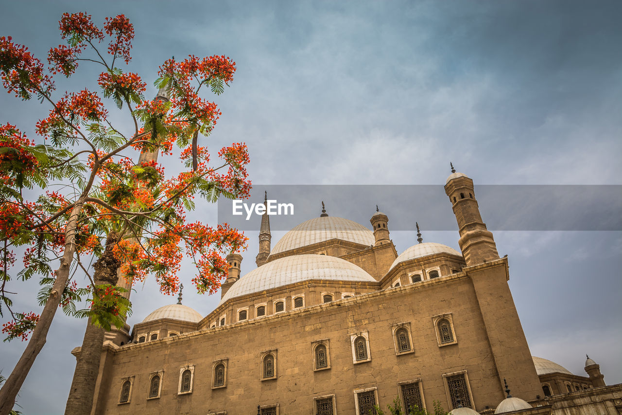 Mosque of muhammad ali against sky